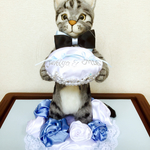 bosbos様専用となります