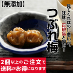 ＜訳あり 無添加 国産 梅干し＞昔ながらの すっぱい しょっぱい 田舎漬！◆化学合成添加物不使用◆ 懐かしいおばあちゃんの味☆つぶれ梅干