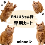えんじゅちゃん専用