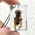 【再販】氷の中のスズメバチのストラップ