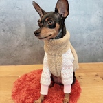 オーダー犬服 ジャガード ボア切替 プルオーバー