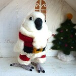 走る！インコクロース（タイハクオウム）