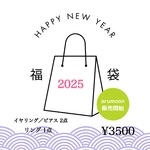 2025福袋　アクセサリーHAPPYBOX  3点入り