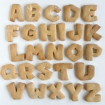 【クッキー型】文字⚠︎1点　ゲームフォント　アルファベット