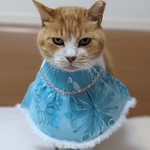 スノープリンセス