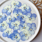 ★【押し花素材】ビオラ　ブルー系　pressed flowers
