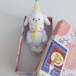 【うさぎ🐇】小箱の小さなお人形 
