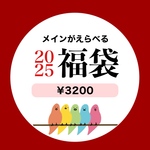 【数量限定🎍福袋】3200円