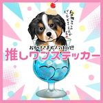 バーニーズマウンテンドッグ　推しワンステッカー　犬　シール