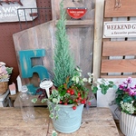 現品SALE♡【毎年楽しめるオシャレな７種寄せ植え】陶器鉢♡アイアンピックつき！ナチュラルガーデニング！