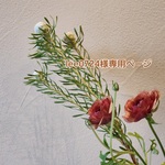 lee0724様　専用ページ