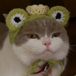 🐸カエルの王子様のかぶり物