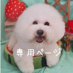 専用ページ