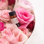 【Rose jewel】　