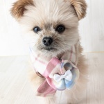 完成品　犬マフラーＳＳピンク（首22ｃｍ～28ｃｍ）ピンクチエック柄　犬マフラー