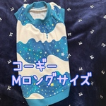 コーギーMロングサイズ☆