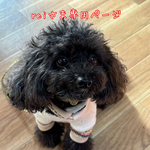 reiさま専用ページ