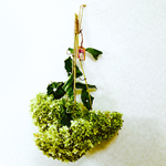 西洋紫陽花アナベルオンリーの特大スワッグ