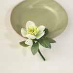 布花🌿素朴な姿が魅力。プレゼントに人気のクリスマスローズのコサージュ　入学式・卒業式にも