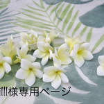 dai111様専用ページ