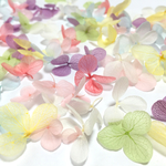 【SALE】☆あじさい＊プリザーブドフラワー＊パステル＊アソート60枚以上☆