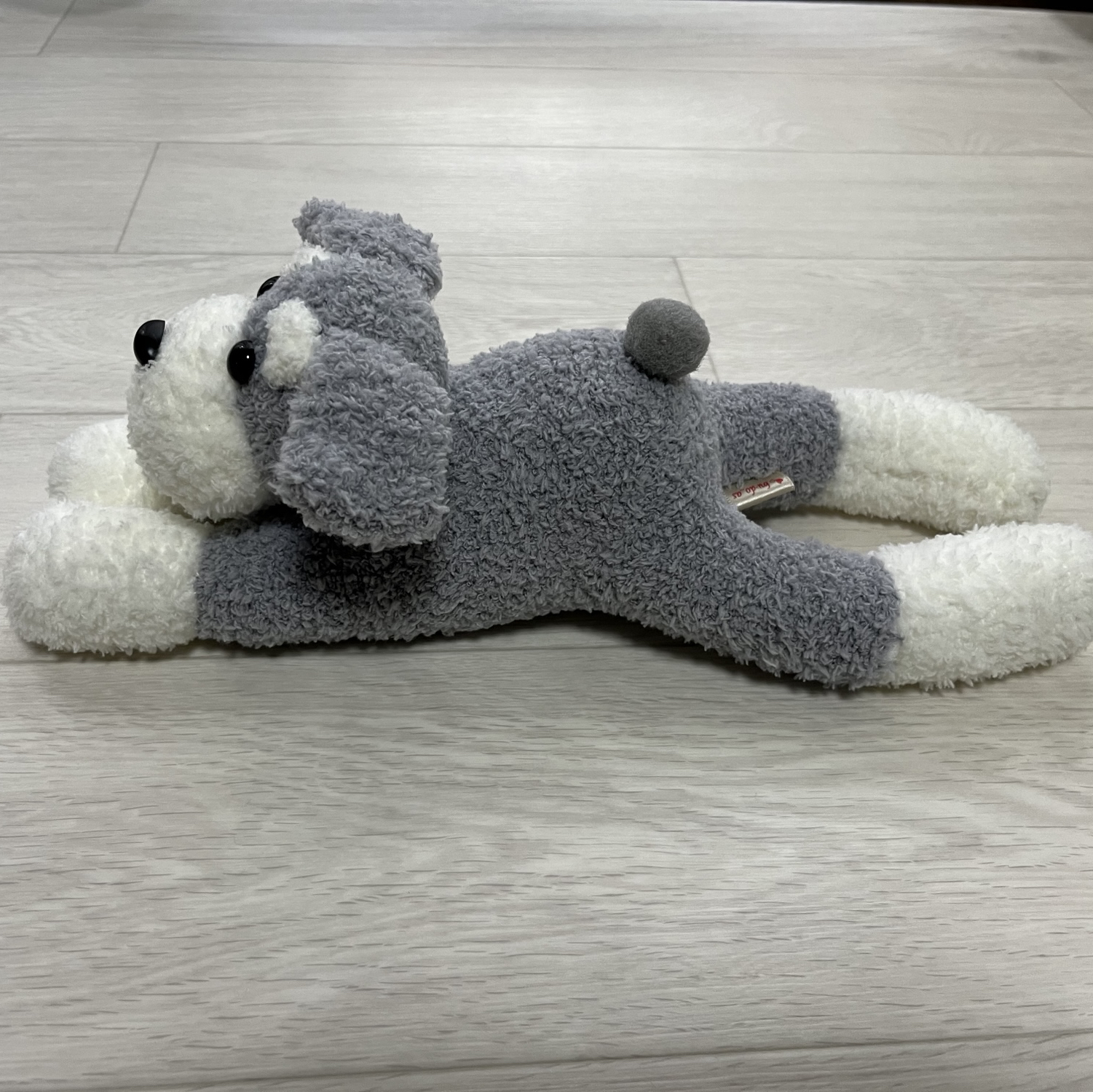 オーダーメイド(特注)☆シュナウザーぬいぐるみ - 24BUDOS'S GALLERY