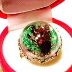 sale! ハムシ気泡昆虫標本リング