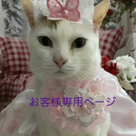 天使の誘惑（再販分）