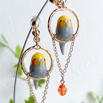 オカメインコ ノーマル 可愛い 鳥イヤリングorピアス