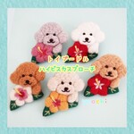 トイプードル✩ハイビスカスブローチ