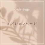追加オプション