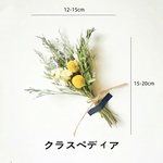 ドライフラワー　ミニブーケ　黄色クラスペディア　月見　スワッグ　ミニ花束　ギフト