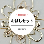 1/2〜6限定販売！【お試しセット】gold parts 