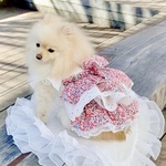 犬服 ピンクベリーのティアードワンピース💓犬ワンピース