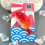 真鯛　でかブローチ