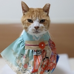 古典柄薄緑着物ドレス