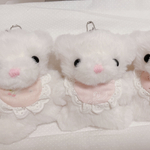 くまさん🐻‍❄