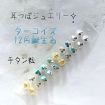 耳つぼジュエリー20粒☪︎天然石ターコイズ☪︎チタン粒