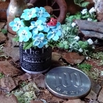 ミニチュアの花「ネモフィラの丸缶」