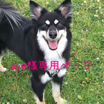 【受注製作】aya様専用ページ