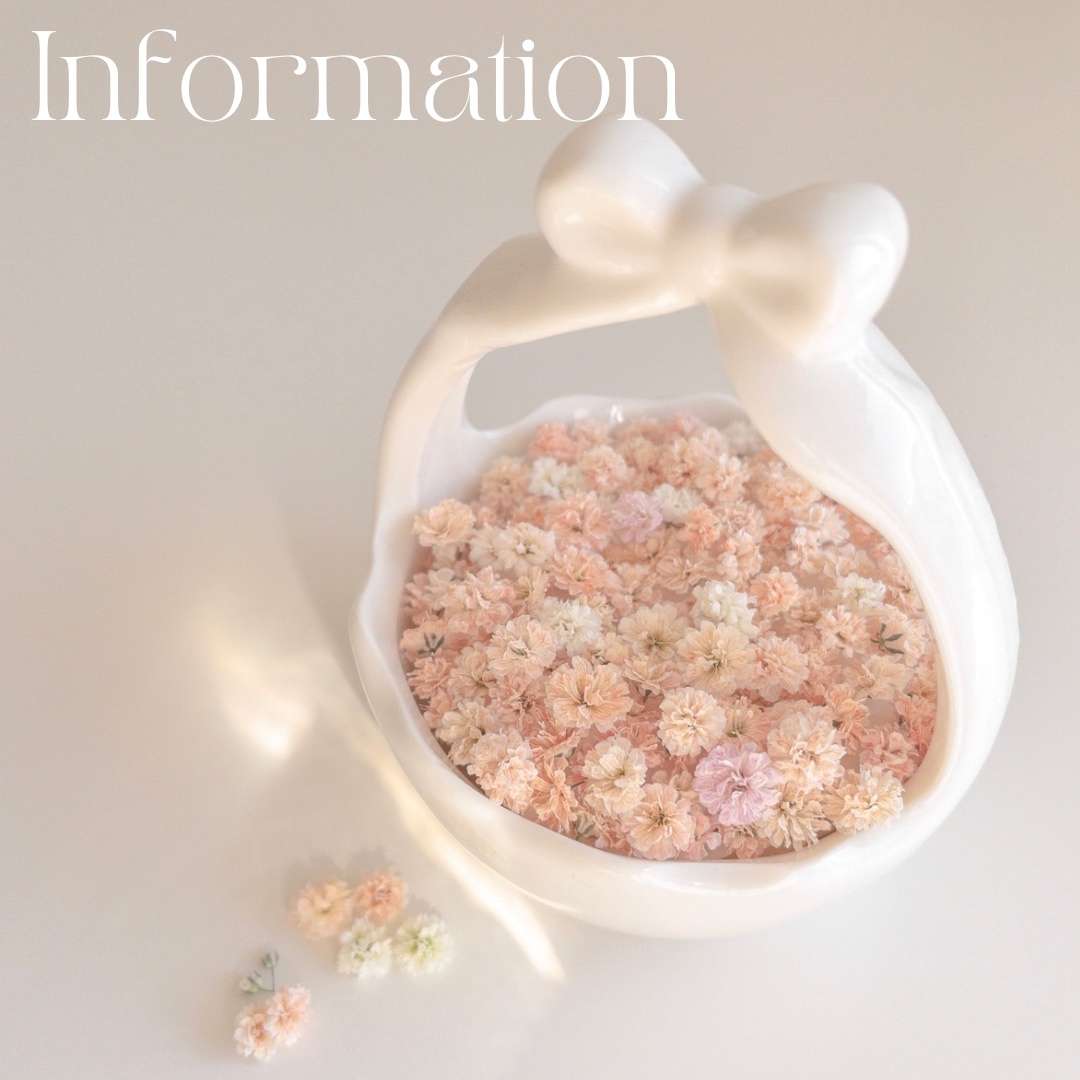ﾎﾟﾆｰﾌｯｸorﾍｱｺﾞﾑ〗Biscuit ﾋﾞｽｹｯﾄ⌇ﾋﾟﾝｸorﾎﾜｲﾄ ﾚｼﾞﾝ ﾚｼﾞﾝｱｸｾｻﾘｰ