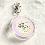 あやたて様専用キーホルダー