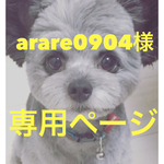 arare0904様専用ページ