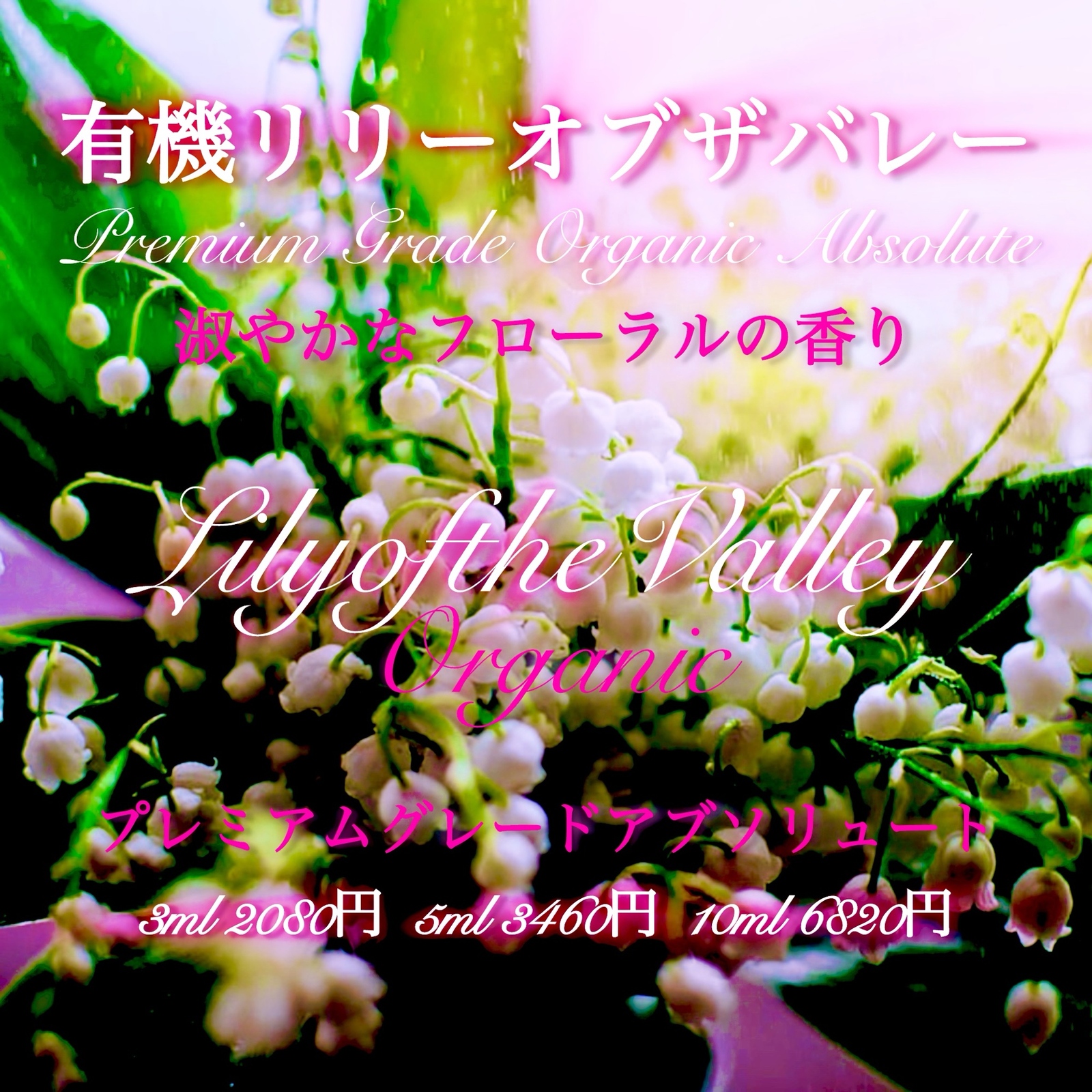 有機（USDAオーガニック）リリーオブザバレーアブソリュート5ml