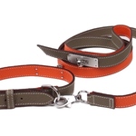 期間限定価格！首輪＆リードセット エトゥープ＆オレンジ