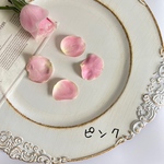 ドライフラワー　バラの花びら　1グラム(約25枚)＊ピンク＊