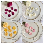 ドライフラワー　バラの花びら　2グラム(約50枚)＊4色MIX＊