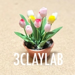 ☆送料無料☆チューリップ　鉢植え