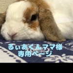 るぃあくんMサイズオーダーメイド