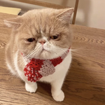 犬 Sサイズ ボーダー ニット マフラー♡ 猫 マフラー ペット マフラー 犬 スタイ 猫 首輪 ネックレス ぽんぽん